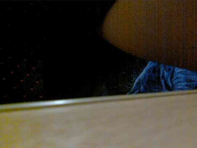 newstarborn newstarborn