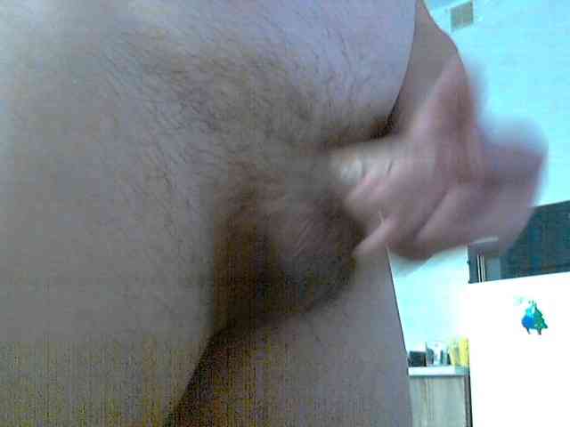 newstarborn newstarborn