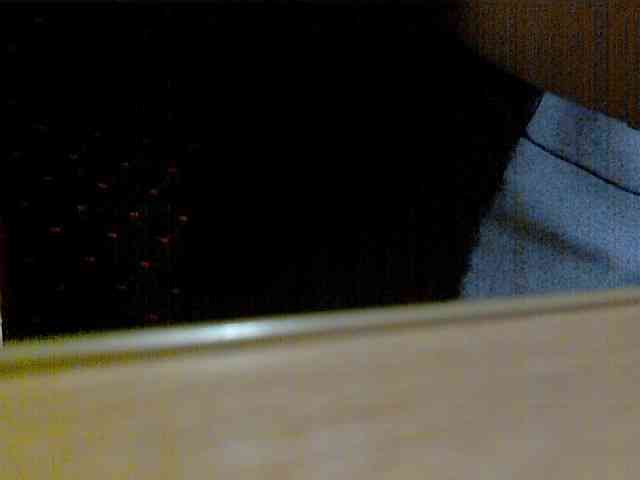 newstarborn newstarborn