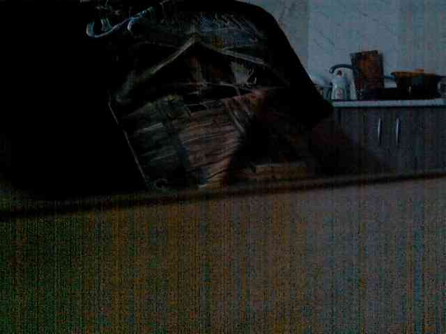 newstarborn newstarborn