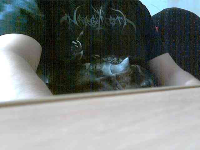 newstarborn newstarborn