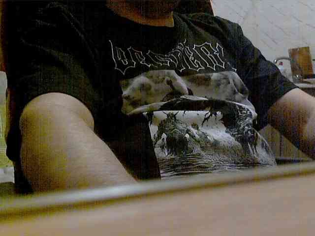 newstarborn newstarborn