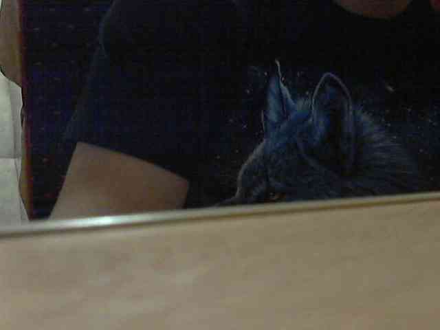 newstarborn newstarborn