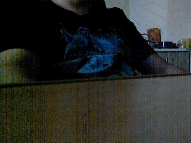 newstarborn newstarborn