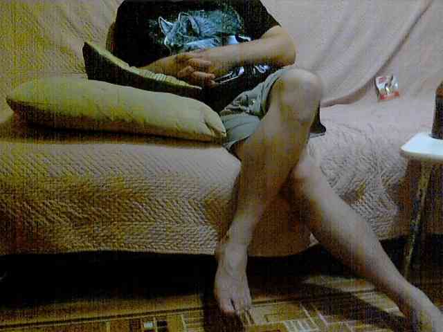 newstarborn newstarborn