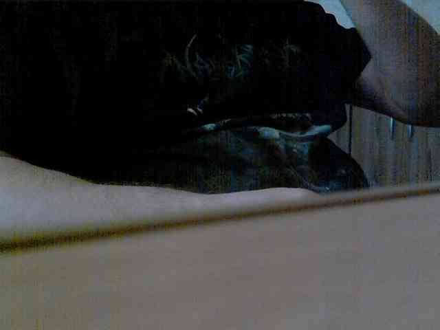 newstarborn newstarborn