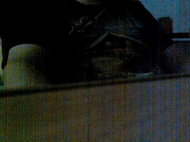 newstarborn newstarborn