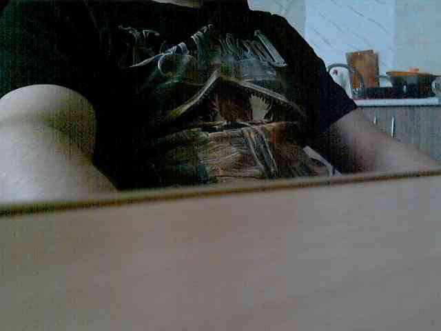 newstarborn newstarborn