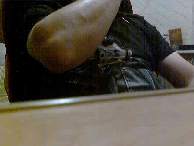 newstarborn newstarborn