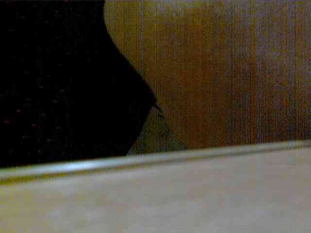 newstarborn newstarborn