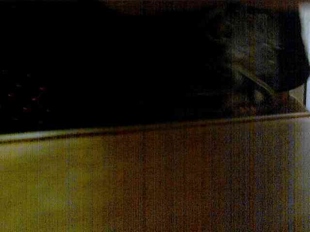 newstarborn newstarborn