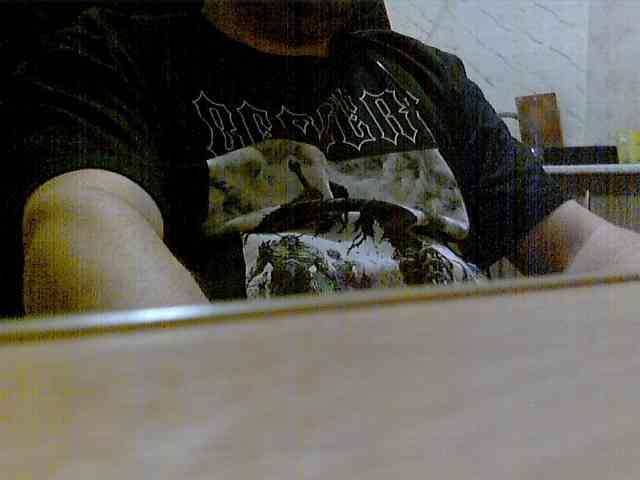 newstarborn newstarborn