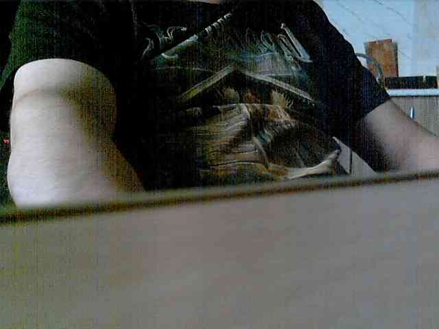 newstarborn newstarborn