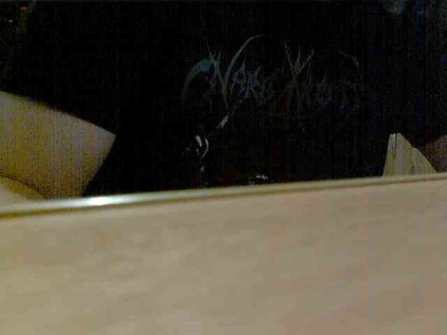 newstarborn newstarborn