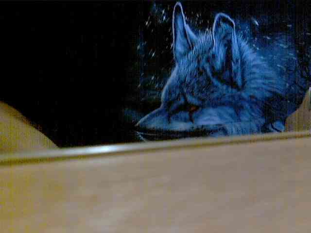 newstarborn newstarborn