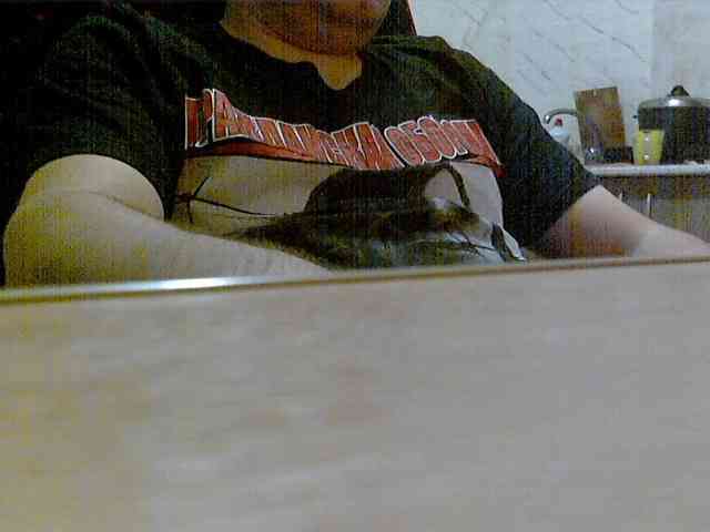 newstarborn newstarborn