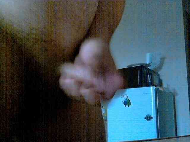 newstarborn newstarborn