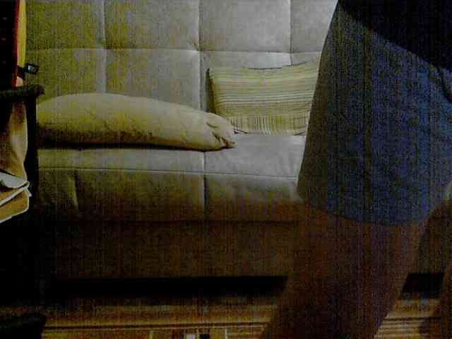 newstarborn newstarborn