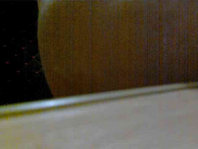 newstarborn newstarborn