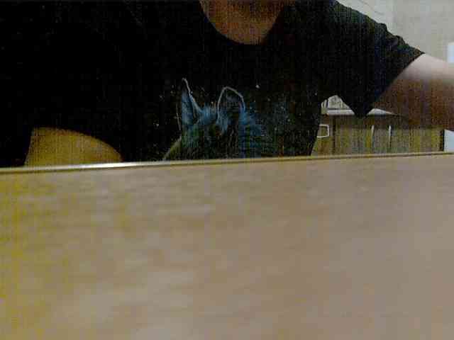 newstarborn newstarborn