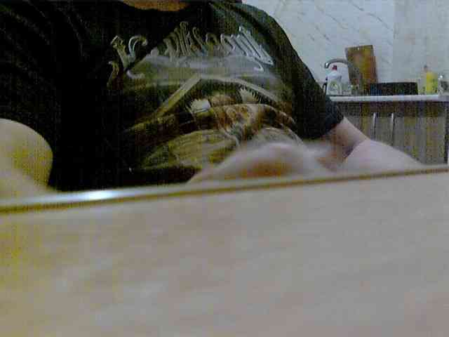 newstarborn newstarborn