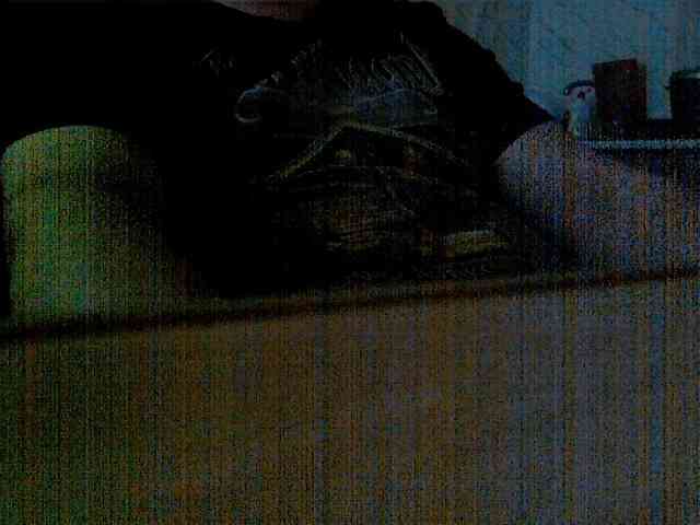 newstarborn newstarborn