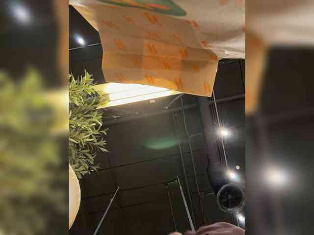 FetishTeacher webcam