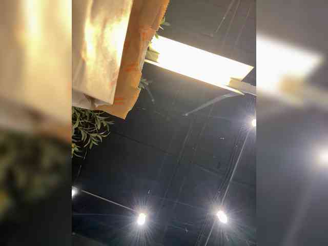 FetishTeacher webcam