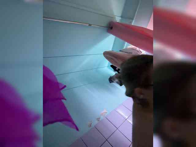 FetishTeacher webcam