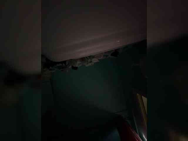 FetishTeacher webcam