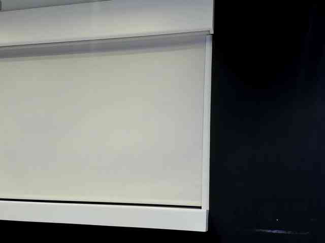 ShanellMoore webcam