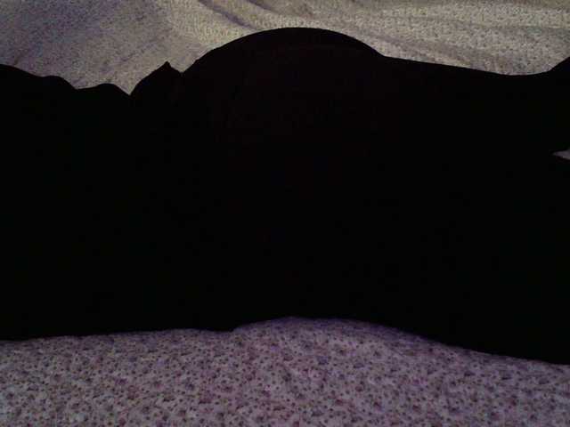 liZAAAZ's BongaCams show and profile