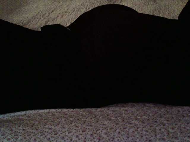 liZAAAZ's BongaCams show and profile