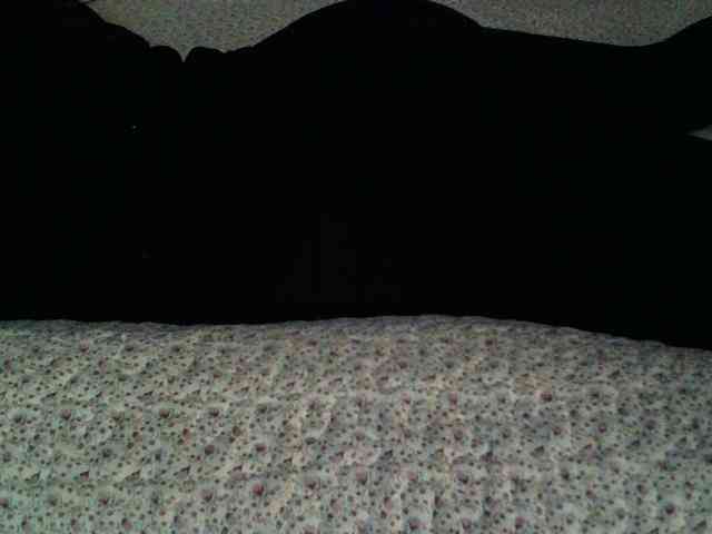 -magicrose- webcam