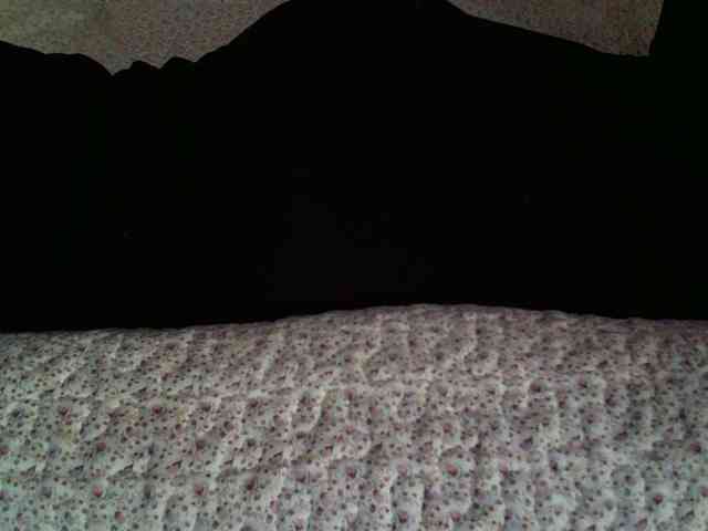 -magicrose- webcam