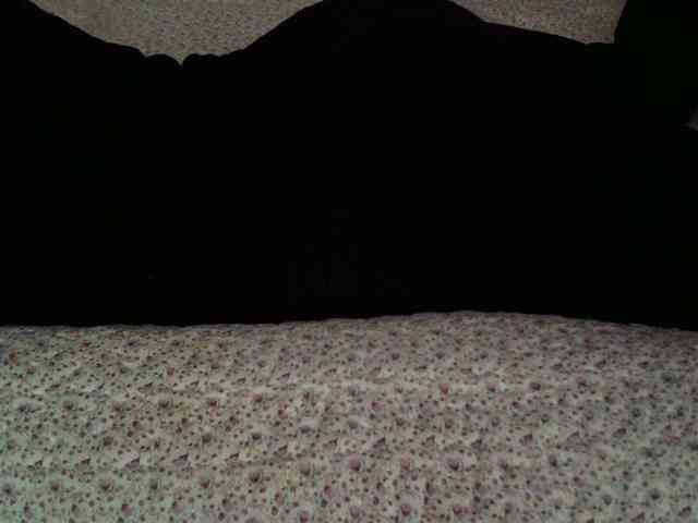 -magicrose- webcam