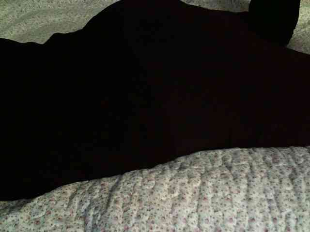 -magicrose- webcam