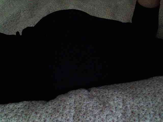 -magicrose- webcam