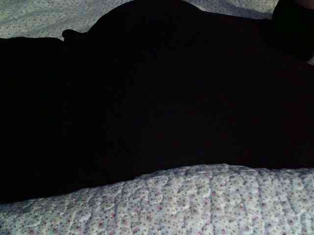 -magicrose- webcam