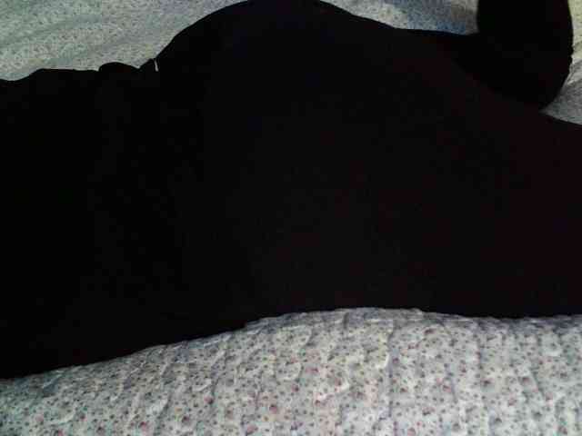 -magicrose- webcam