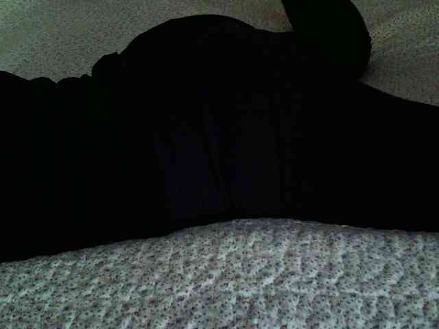 -magicrose- webcam
