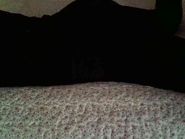 -magicrose- webcam