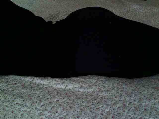 -magicrose- webcam