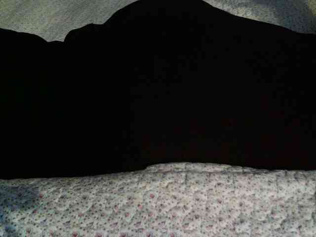 -magicrose- webcam