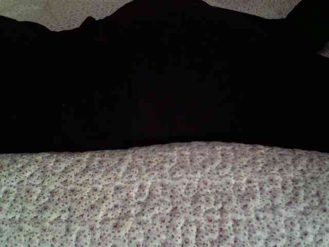 -magicrose- webcam
