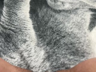 Shalunya1813 Porn Show