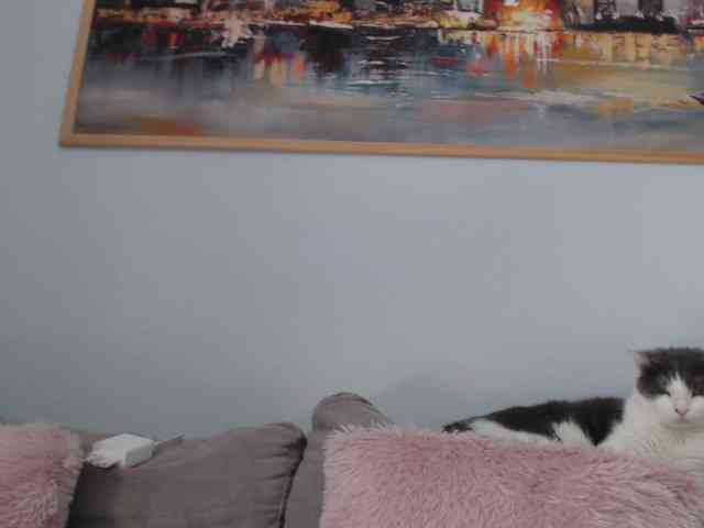 cleophee webcam