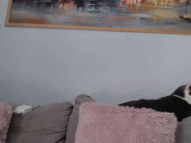 cleophee webcam