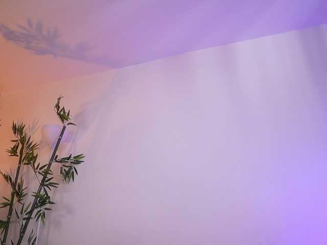 JessicaPratt's BongaCams show and profile