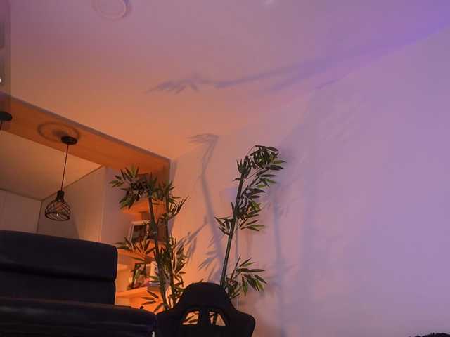 JessicaPratt's BongaCams show and profile